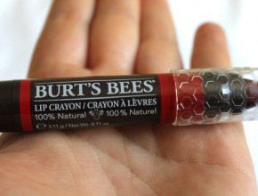 Burt's Bees Lip Crayon in Napa Vine Review